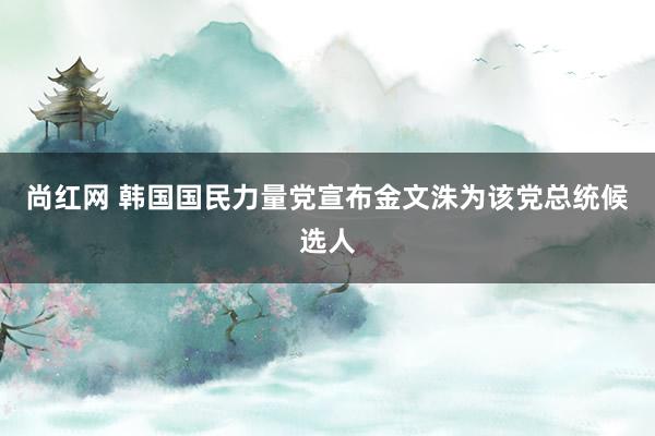 尚红网 韩国国民力量党宣布金文洙为该党总统候选人