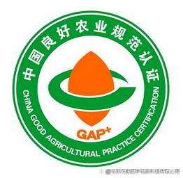 东启网 哈尔滨gap认证方法